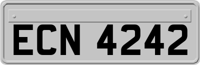 ECN4242