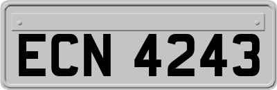 ECN4243