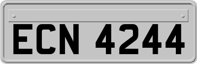 ECN4244