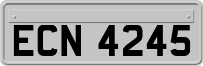 ECN4245