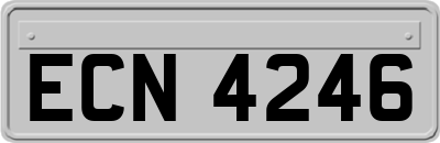ECN4246