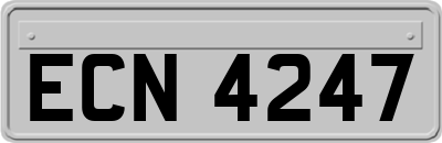 ECN4247