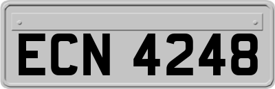ECN4248