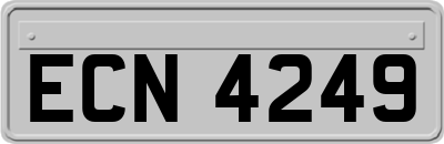 ECN4249