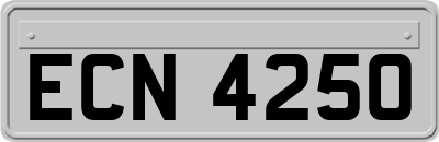 ECN4250
