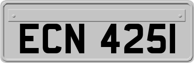 ECN4251