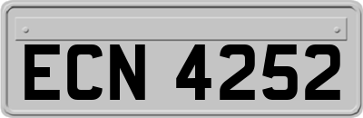ECN4252