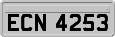 ECN4253