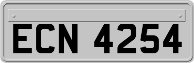 ECN4254