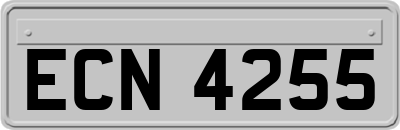 ECN4255