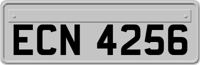 ECN4256