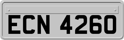 ECN4260
