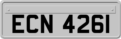 ECN4261