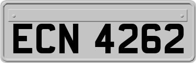 ECN4262