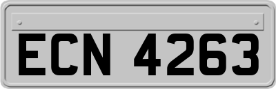 ECN4263
