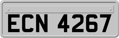 ECN4267