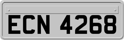 ECN4268