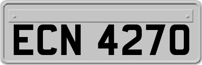 ECN4270