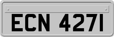 ECN4271