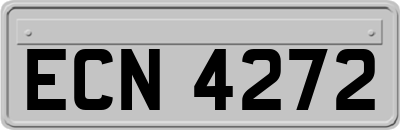 ECN4272