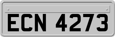 ECN4273