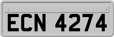 ECN4274