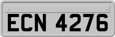 ECN4276