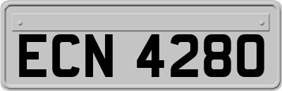 ECN4280
