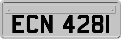 ECN4281