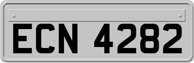 ECN4282