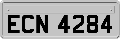 ECN4284