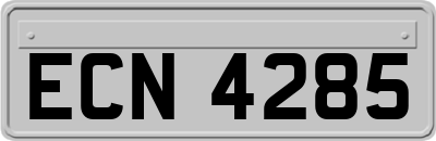 ECN4285