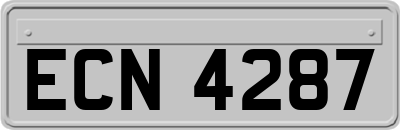 ECN4287