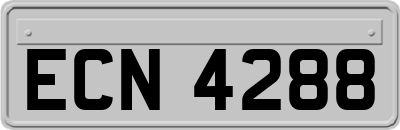 ECN4288