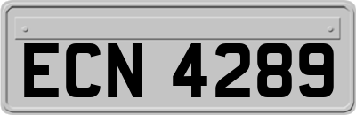ECN4289