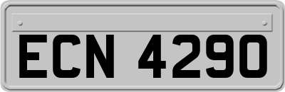 ECN4290