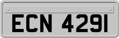 ECN4291