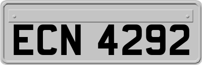 ECN4292