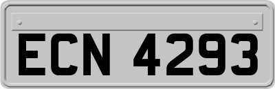 ECN4293