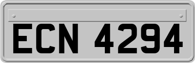 ECN4294