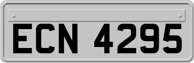 ECN4295