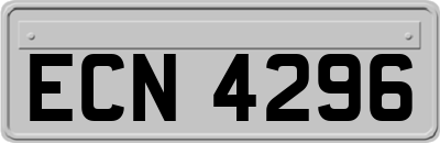 ECN4296