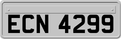 ECN4299