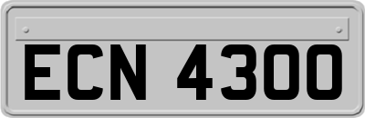ECN4300