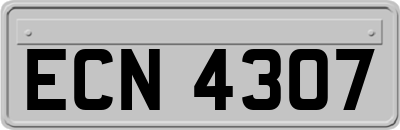 ECN4307