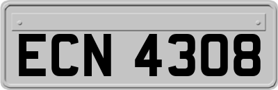 ECN4308