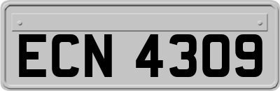 ECN4309