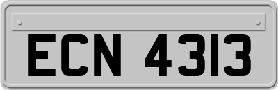 ECN4313