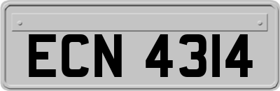 ECN4314