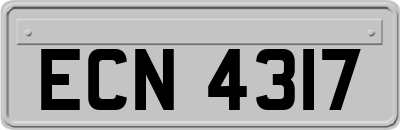 ECN4317